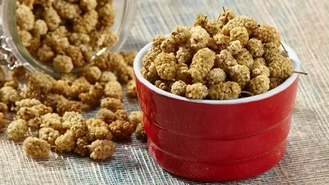 قیمت و خرید توت خشک ممتاز + فروش ارزان